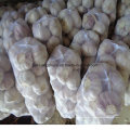 2016 Fresh Garlic-New Arrival, Hot Sales